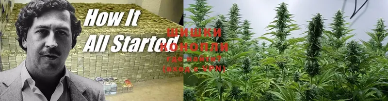 MEGA tor  darknet состав  Шишки марихуана OG Kush  Орёл 